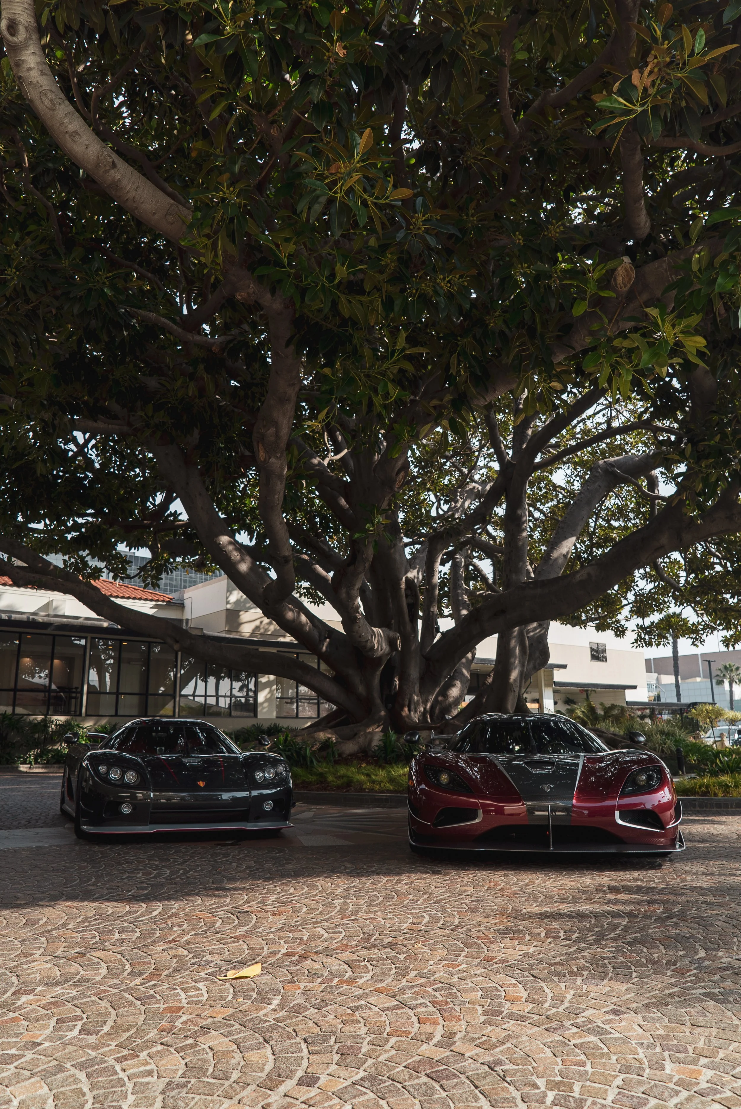 Koenigsegg at Bungalow SM