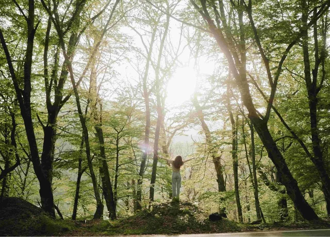 Does PMDD Happen in the Luteal Phase?