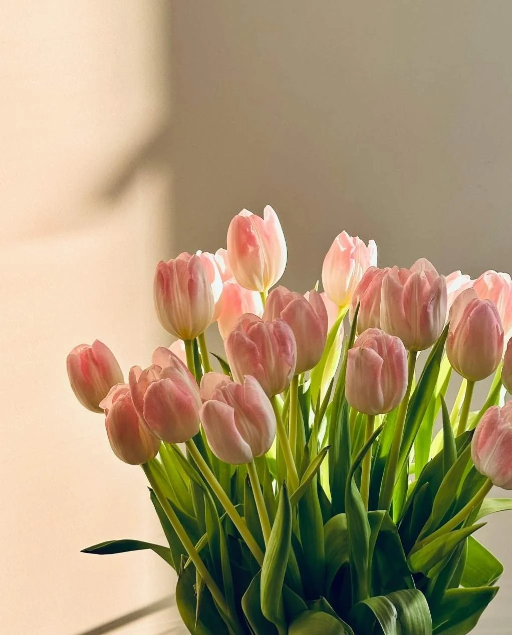 Bay area couples therapy