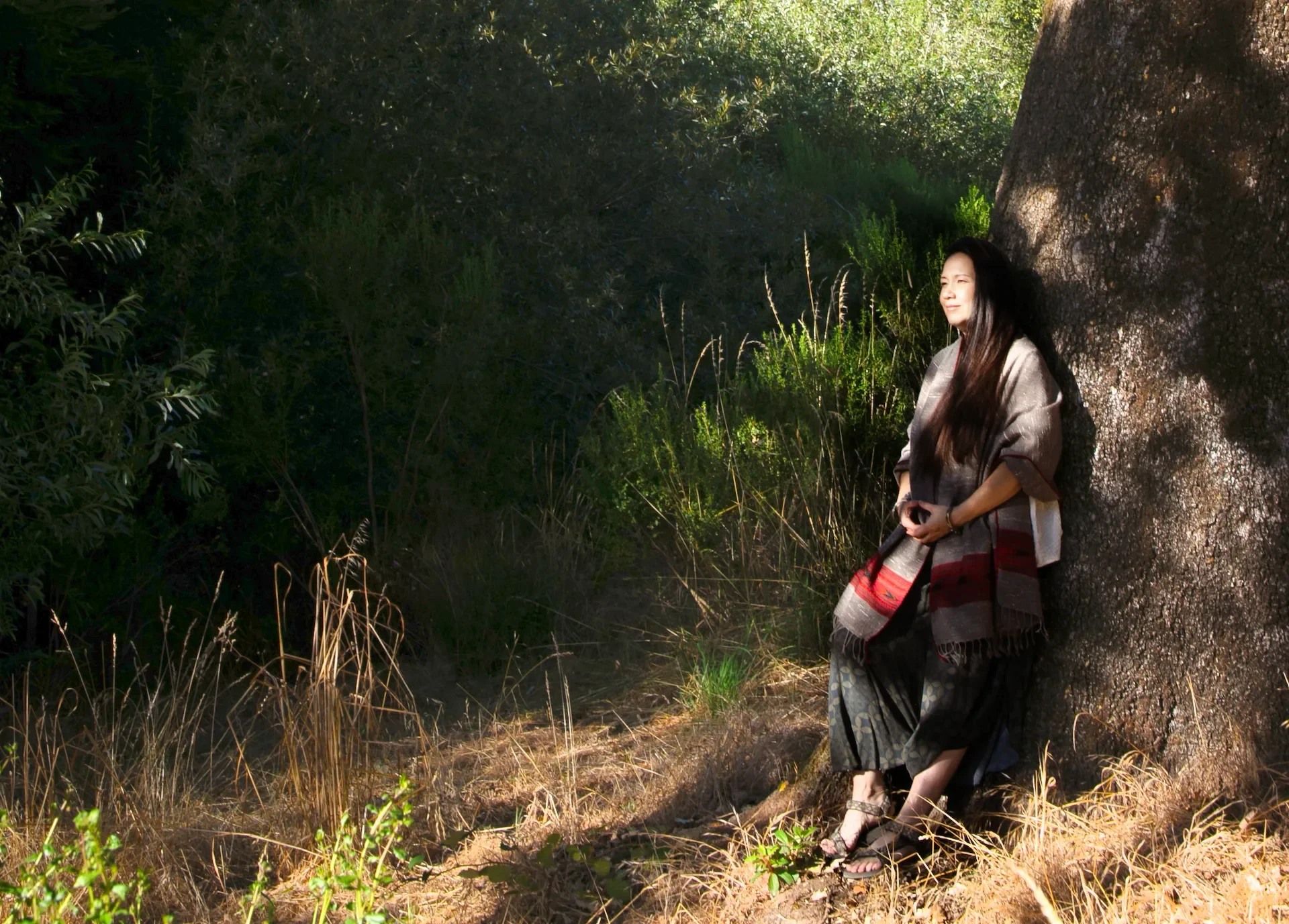 woman leaning on a tree gazing serenely at the sky