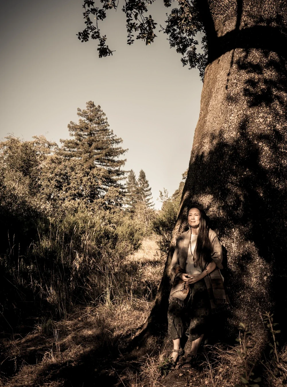 woman resting against a tree serenely looking out into the landscape