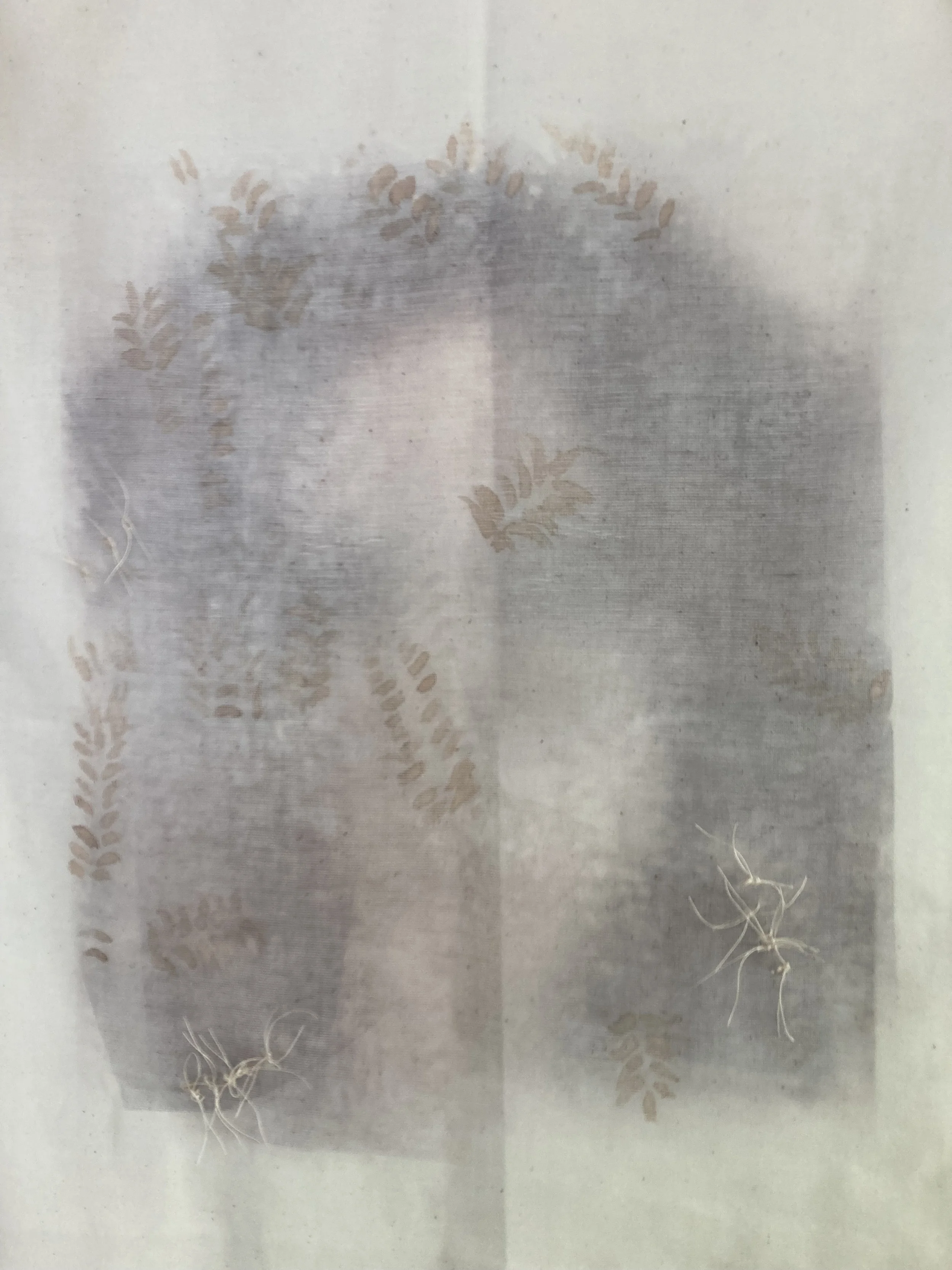 Healing Havens1.jpeg