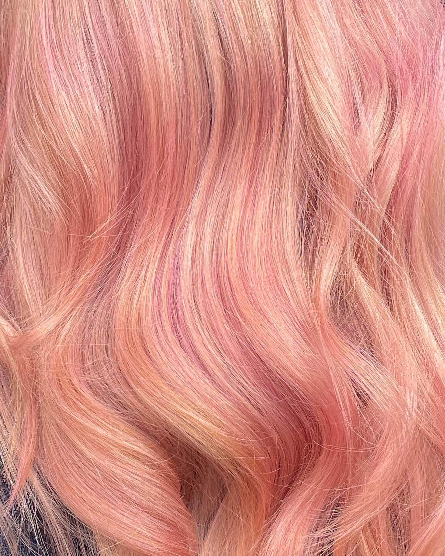 Blush pink!💓💓 #olaplextreatment #wellahair #pinkhair #balayage #blushcolor