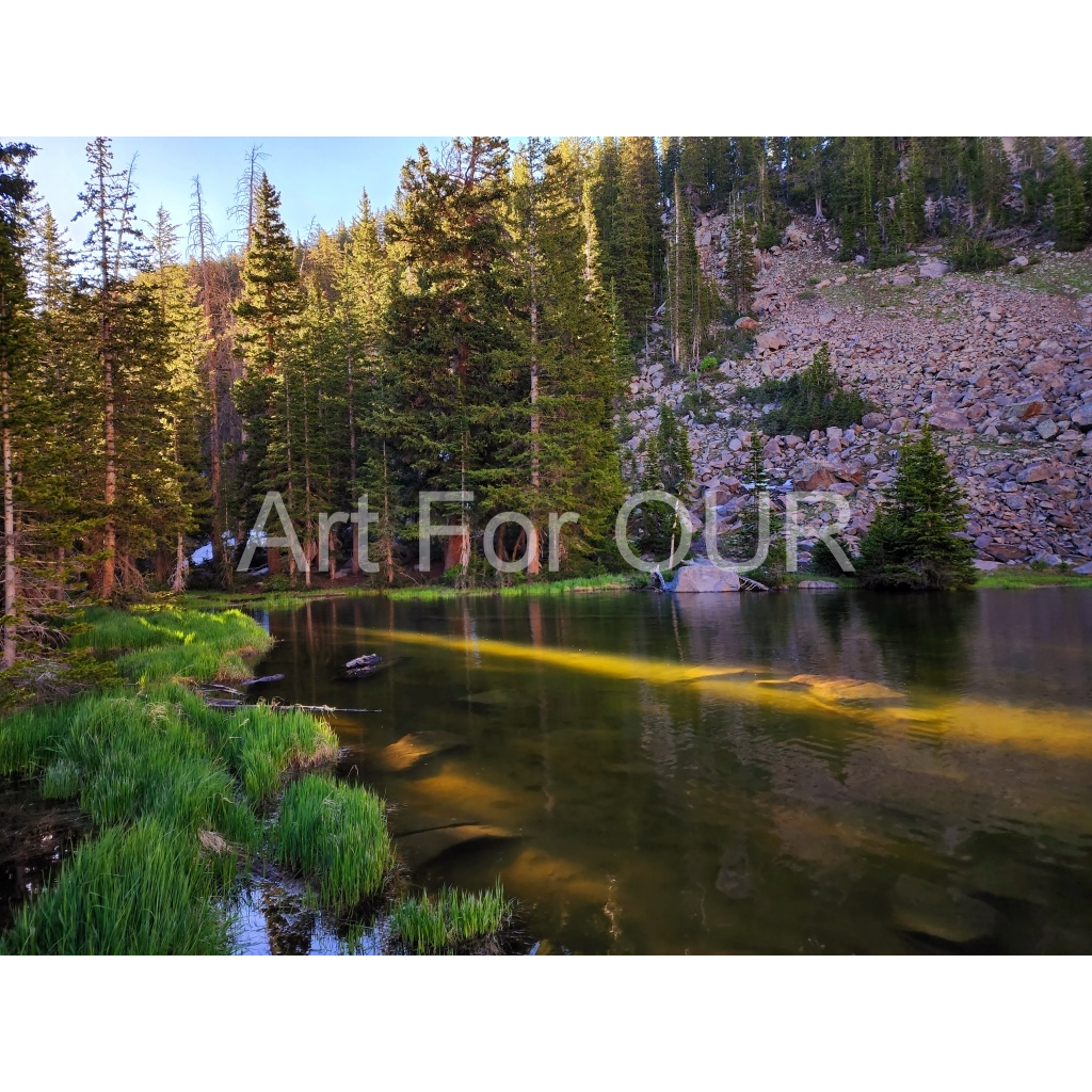 image_original_03bbe9fca1bee9335da4f929d051fe16.png