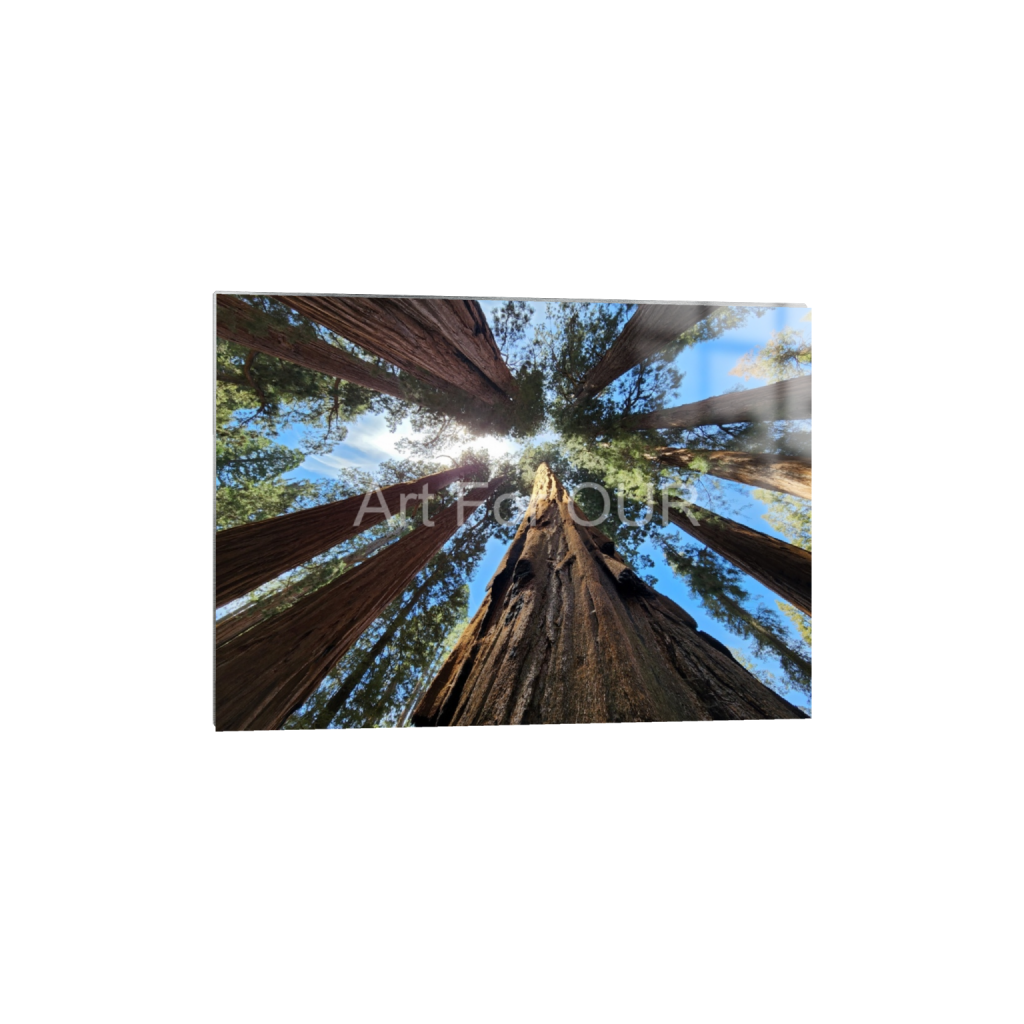 ptq_13_7_0_71_4000_2857_0_false_ffffff_0_0_03bbe9fca1bee9335da4f929d051fe16.png