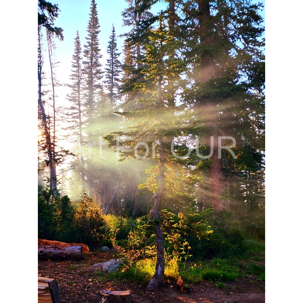 image_original_03bbe9fca1bee9335da4f929d051fe16.png