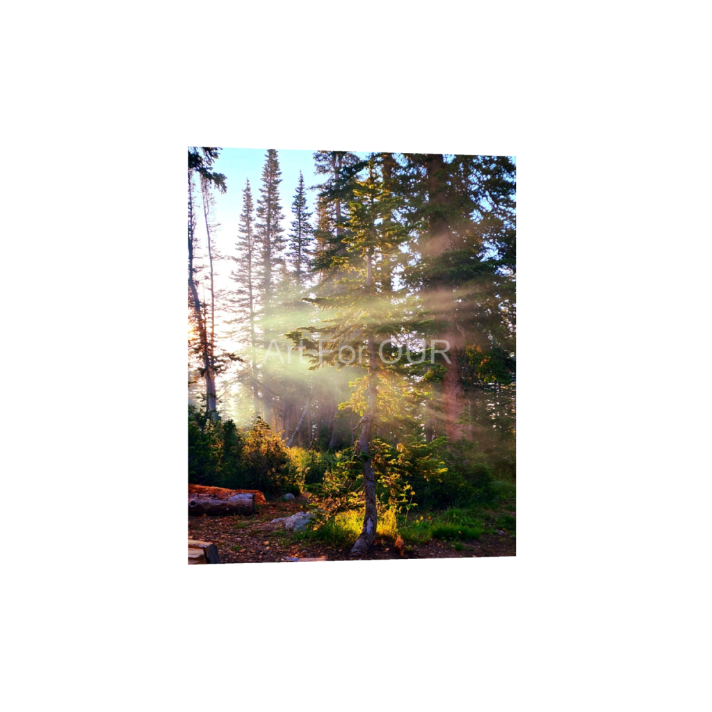 ptq_34_6_0_125_3000_3750_0_false_ffffff_0_0_03bbe9fca1bee9335da4f929d051fe16.png