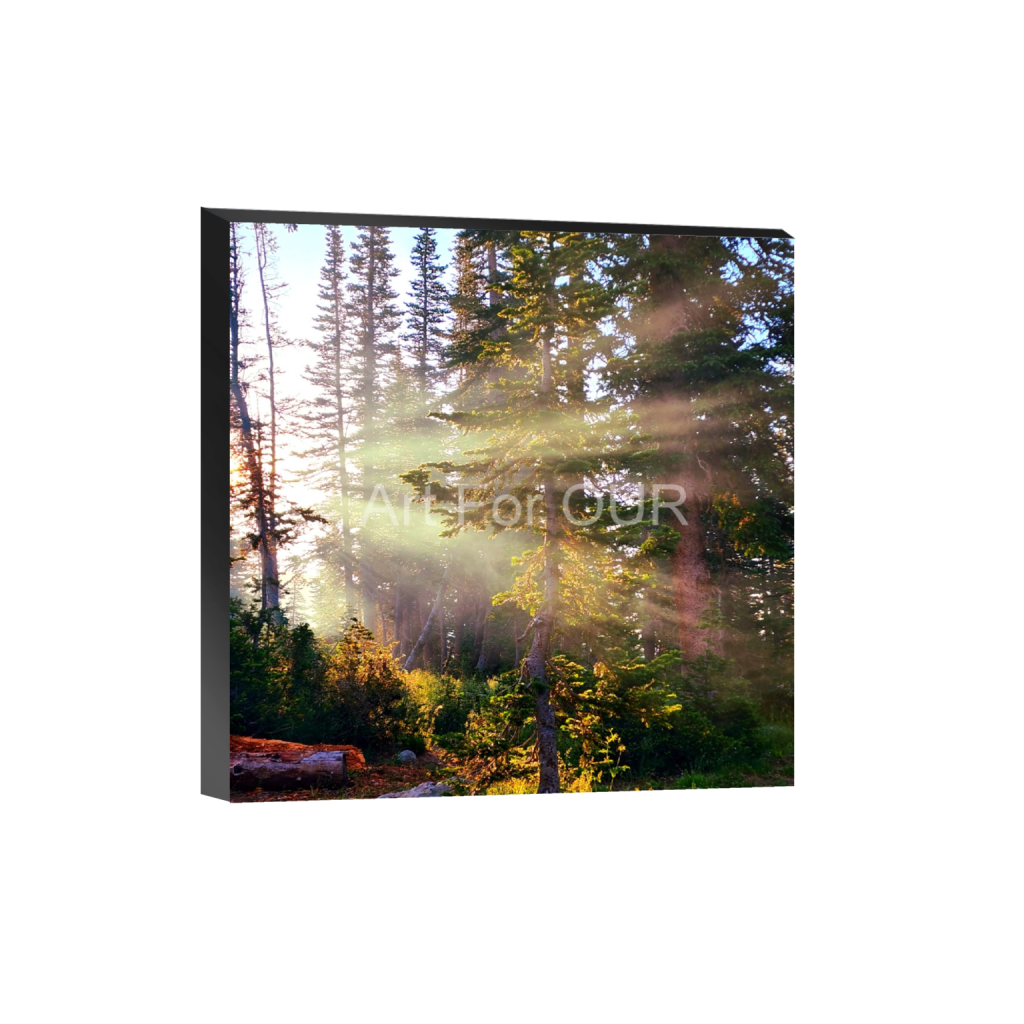 ptq_32_0_0_500_3000_3000_0_false_ffffff_0_0_03bbe9fca1bee9335da4f929d051fe16.png