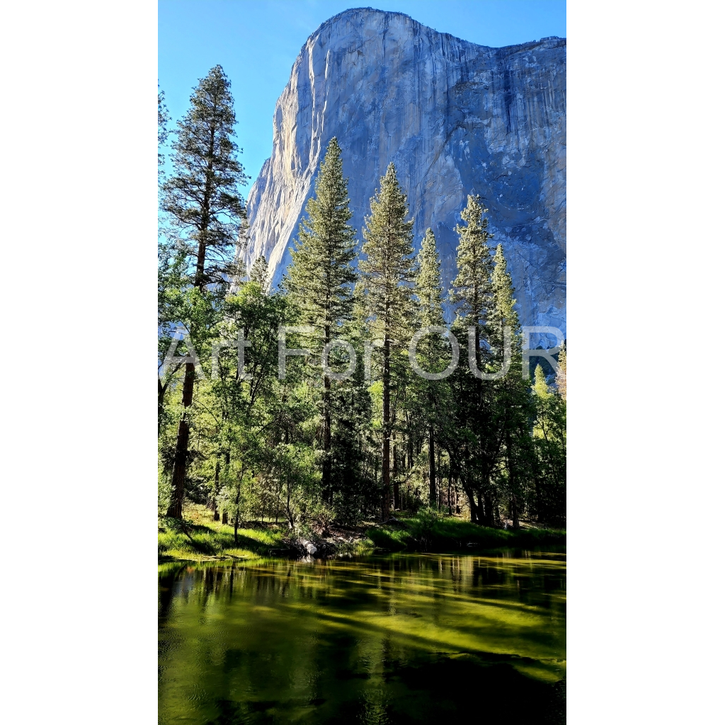 image_original_03bbe9fca1bee9335da4f929d051fe16.png