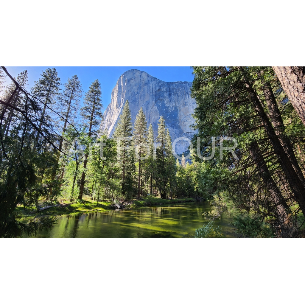 image_original_03bbe9fca1bee9335da4f929d051fe16.png