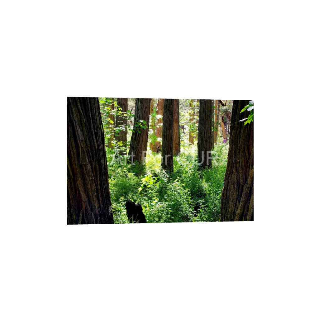 ptq_34_3_311_0_3378_2252_0_false_ffffff_0_0_03bbe9fca1bee9335da4f929d051fe16.png