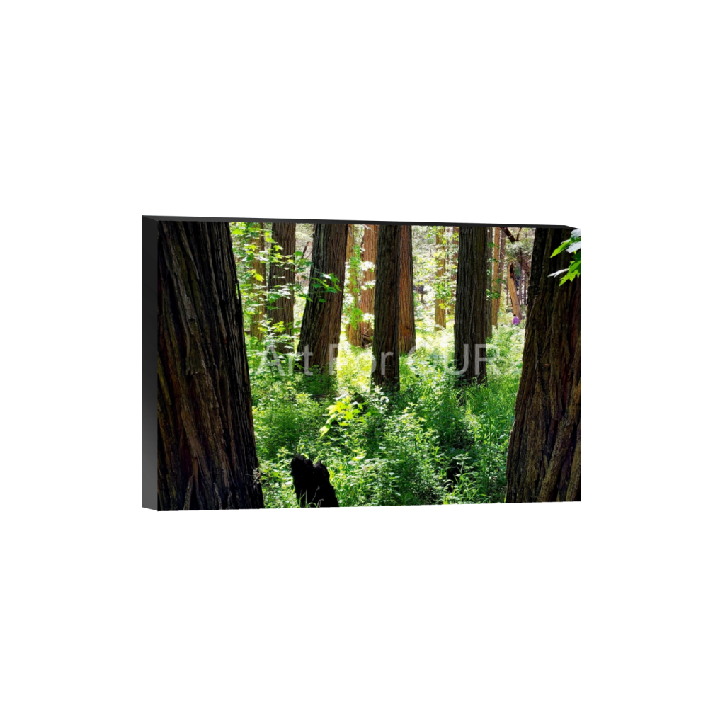 ptq_32_3_311_0_3378_2252_0_false_ffffff_0_0_03bbe9fca1bee9335da4f929d051fe16.png