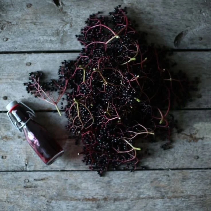 Spiced Elderberry Syrup Recipe. 
Medical science has proven that Elderberries have an anti-viral effect, proving the ancient people who used them to stay well in the winter months were right! This recipe is not only simple and good for you, but also 