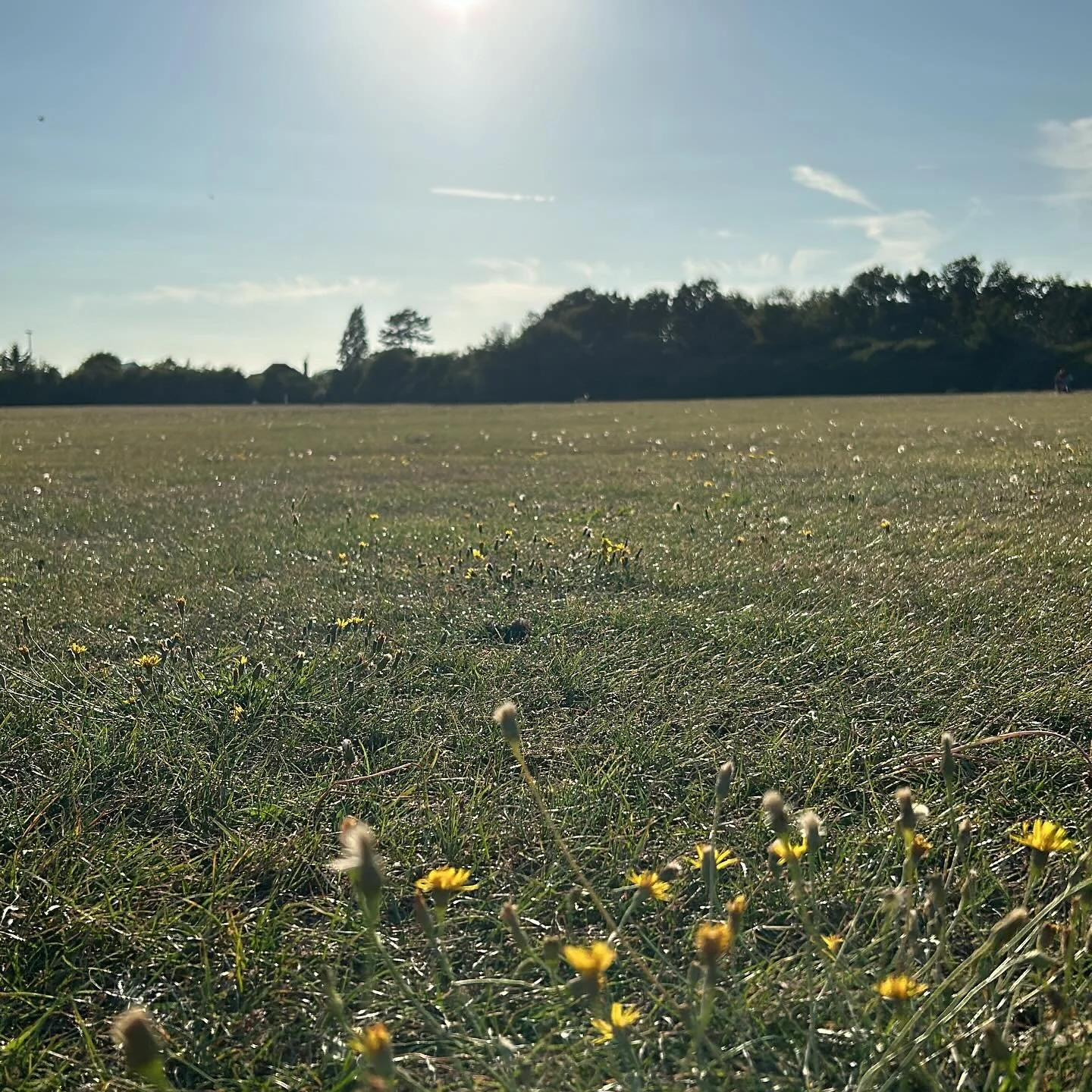Taking a moment...before I head back in and do a VO about CO2 emissions....☀️#voiceover #vo #voiceoverartist #co2emissions #homestudio