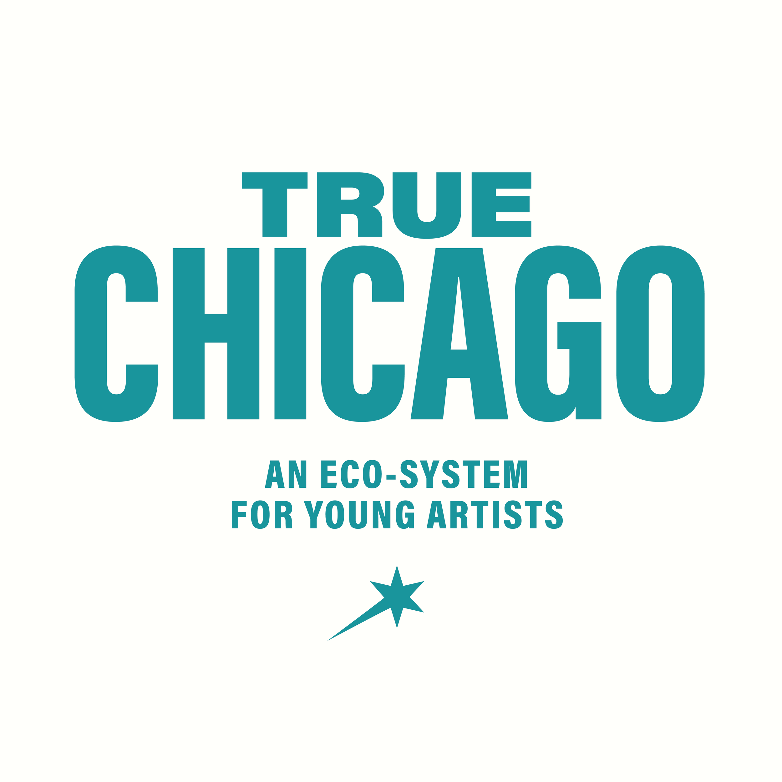 True Chicago - Social Media Management | Communication Strategy
