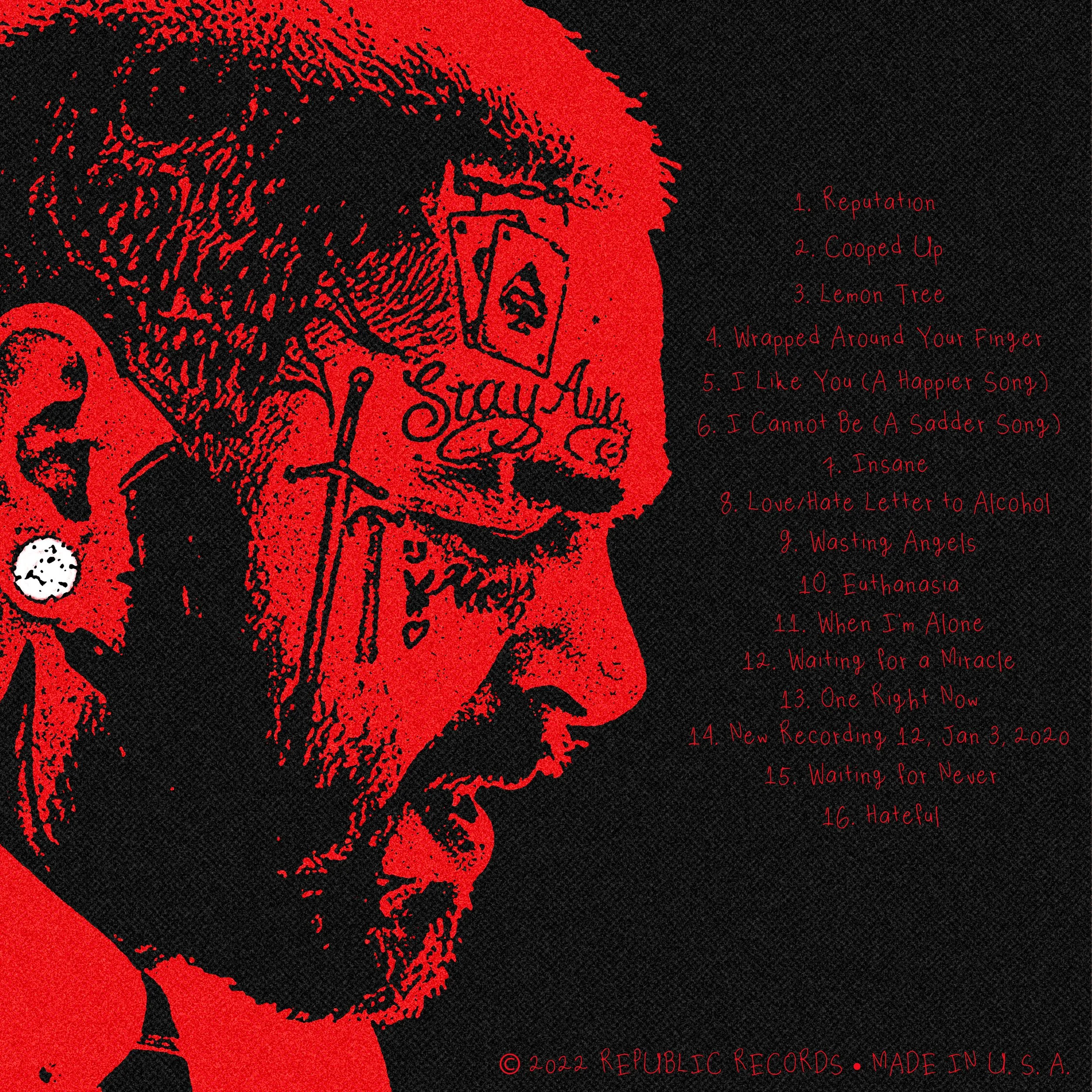 twelve carat toothache back.jpg