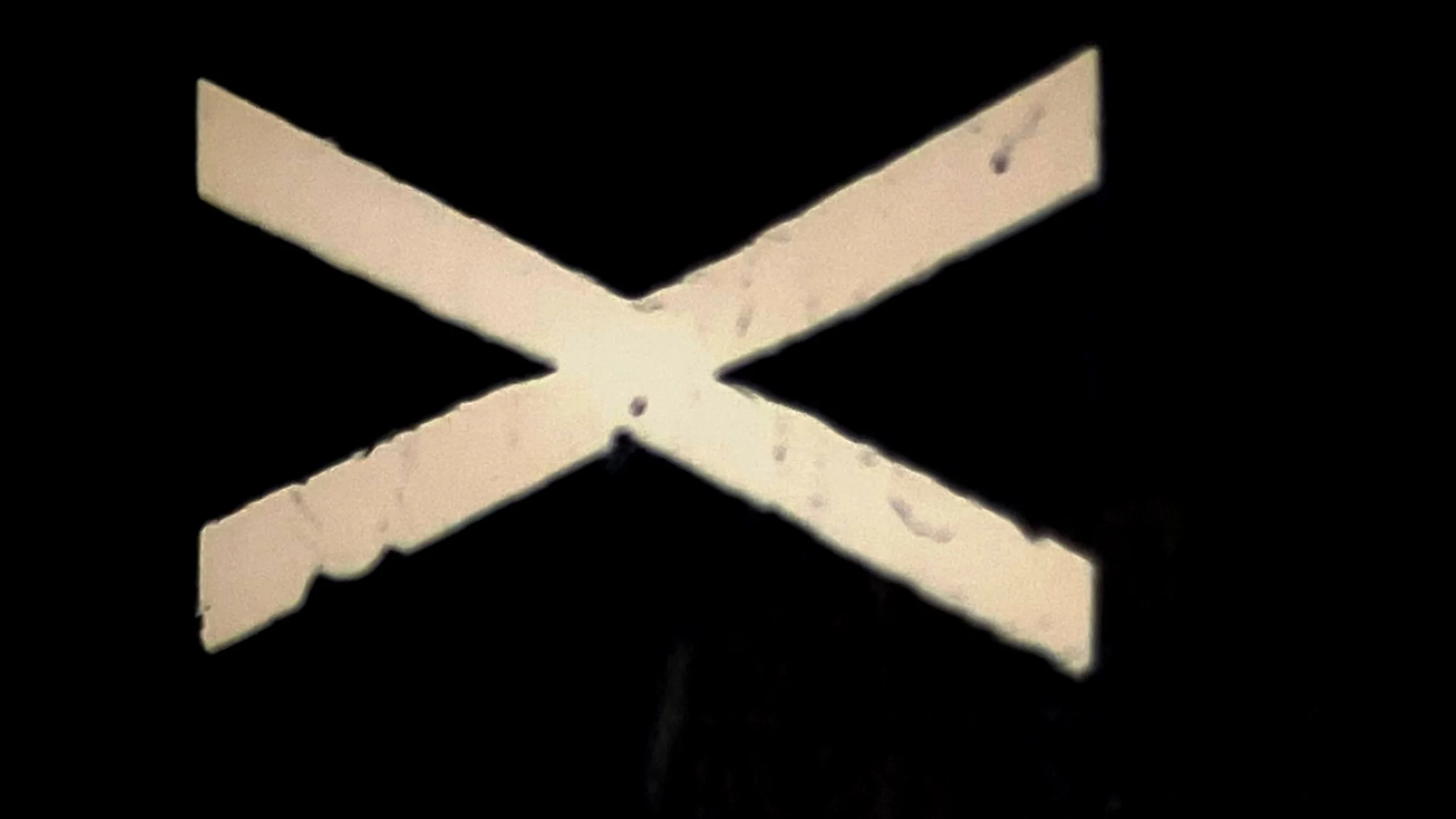 Random_ganged (0-00-16-20).jpg