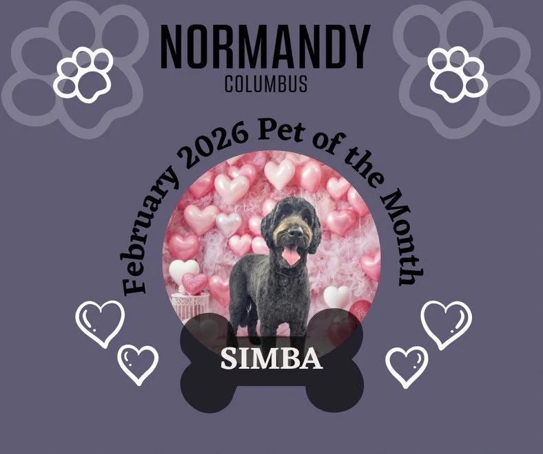 Huge congrats Simba 🥳! Can&rsquo;t wait to spoil you and your human with a goodie basket from @thecakehound next week!