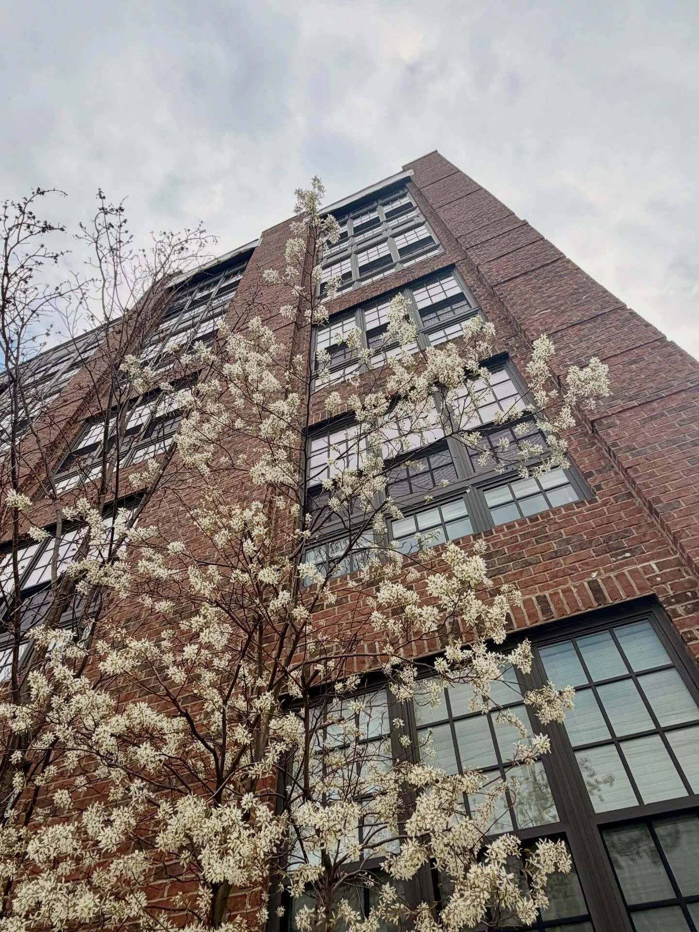 Feeling like spring 😍🎉🌸