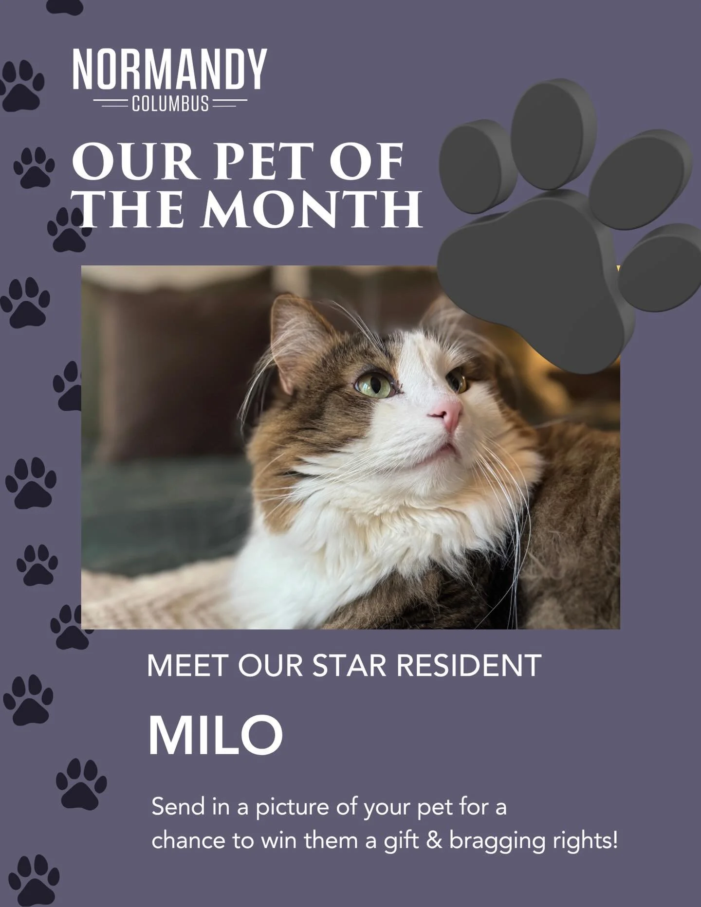 Huge congrats Milo 🥳! Can&rsquo;t wait to spoil you and your human with a goodie basket from @thecakehound !