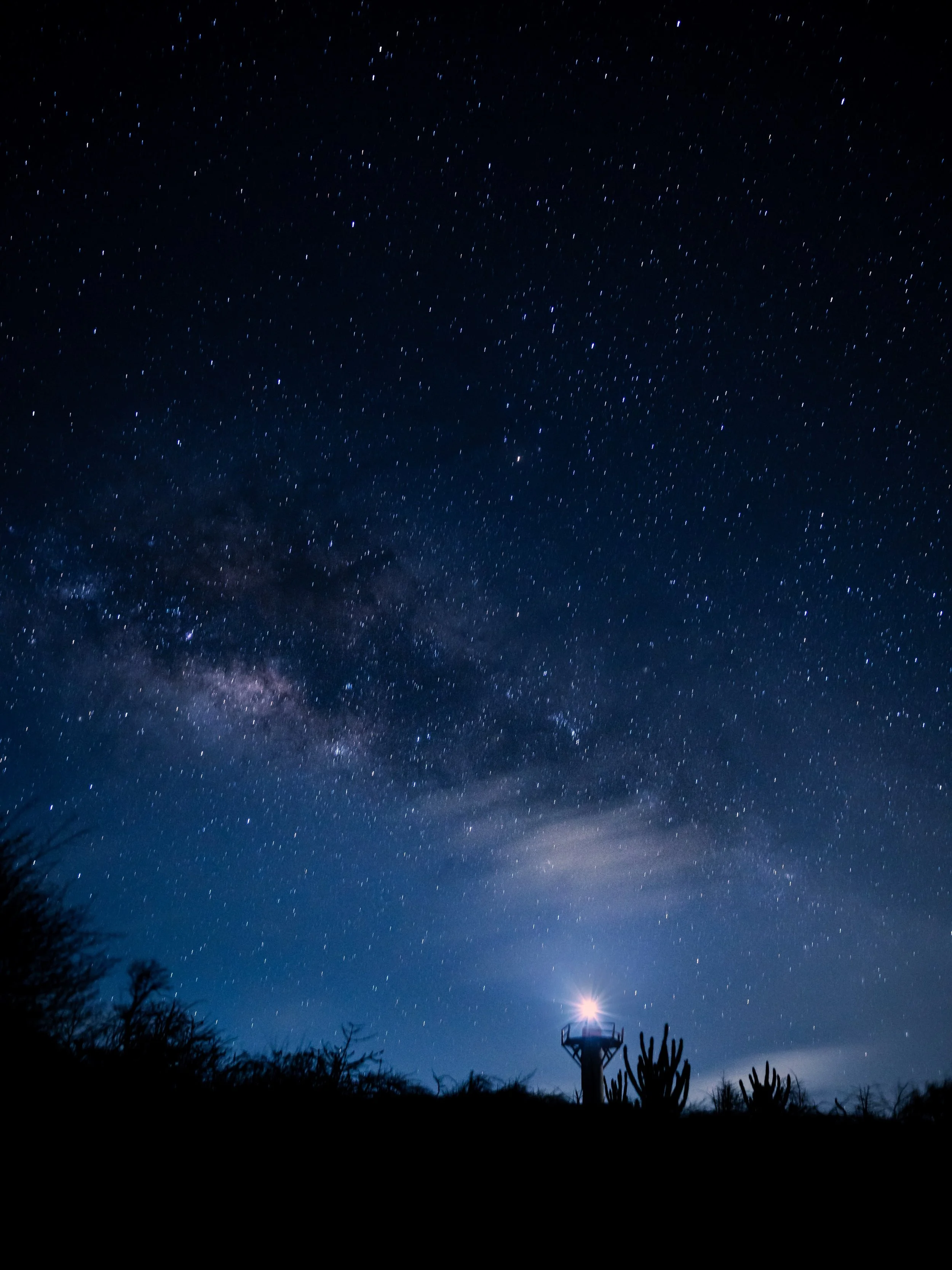 Milk way. Venus. Jupiter. Lighthouse..Comet. Life.  Love. 

💫 

🌵 

🇨🇼 

#nightskyphotography #lighthousephotography #milkywayphotography #intentionalliving