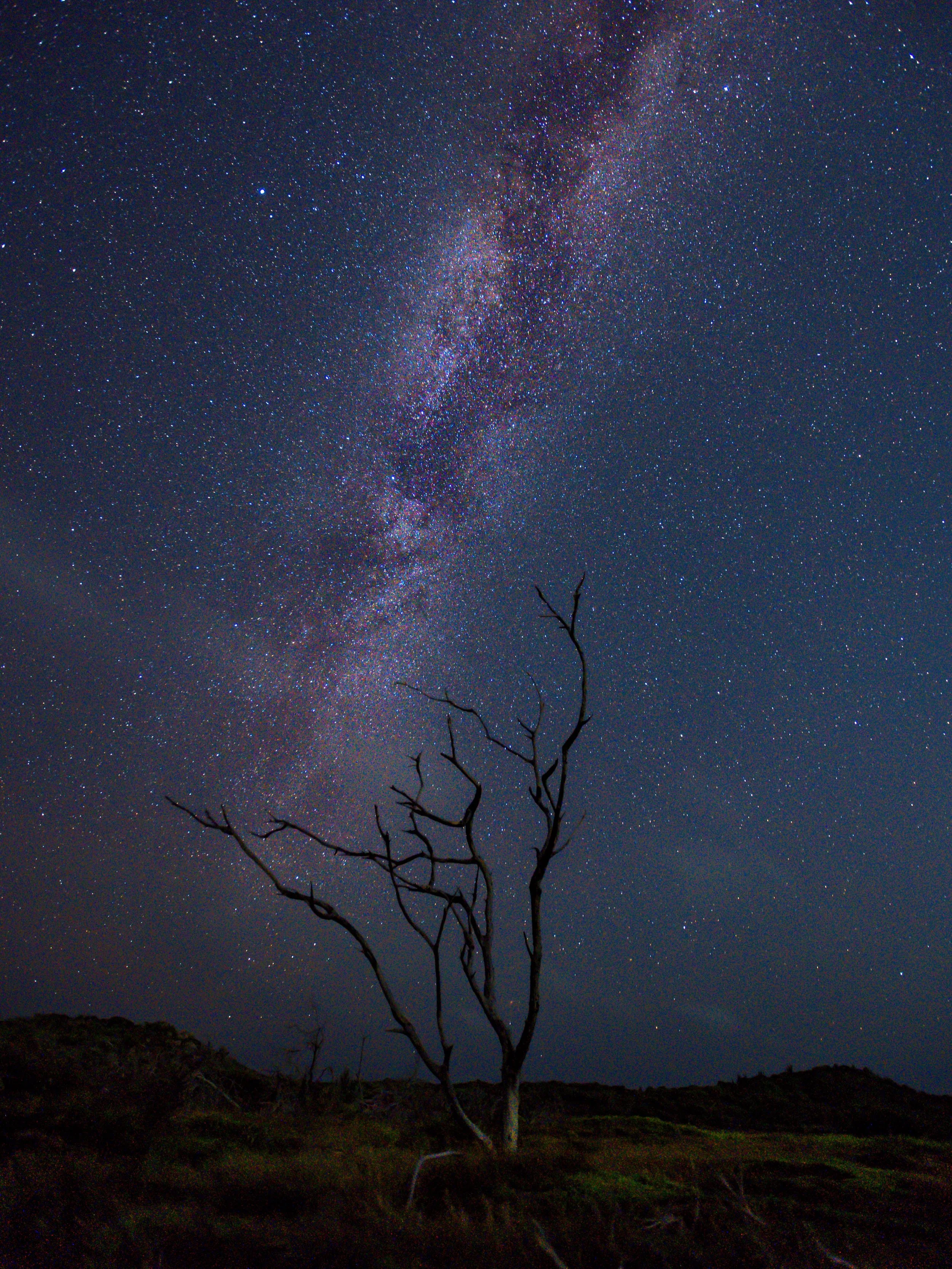 Milky Way. Lighthouse. Life on earth. 

💫 

🌵 

🇨🇼 

#nightskyphotography #lighthousephotography #milkywayphotography #intentionalliving