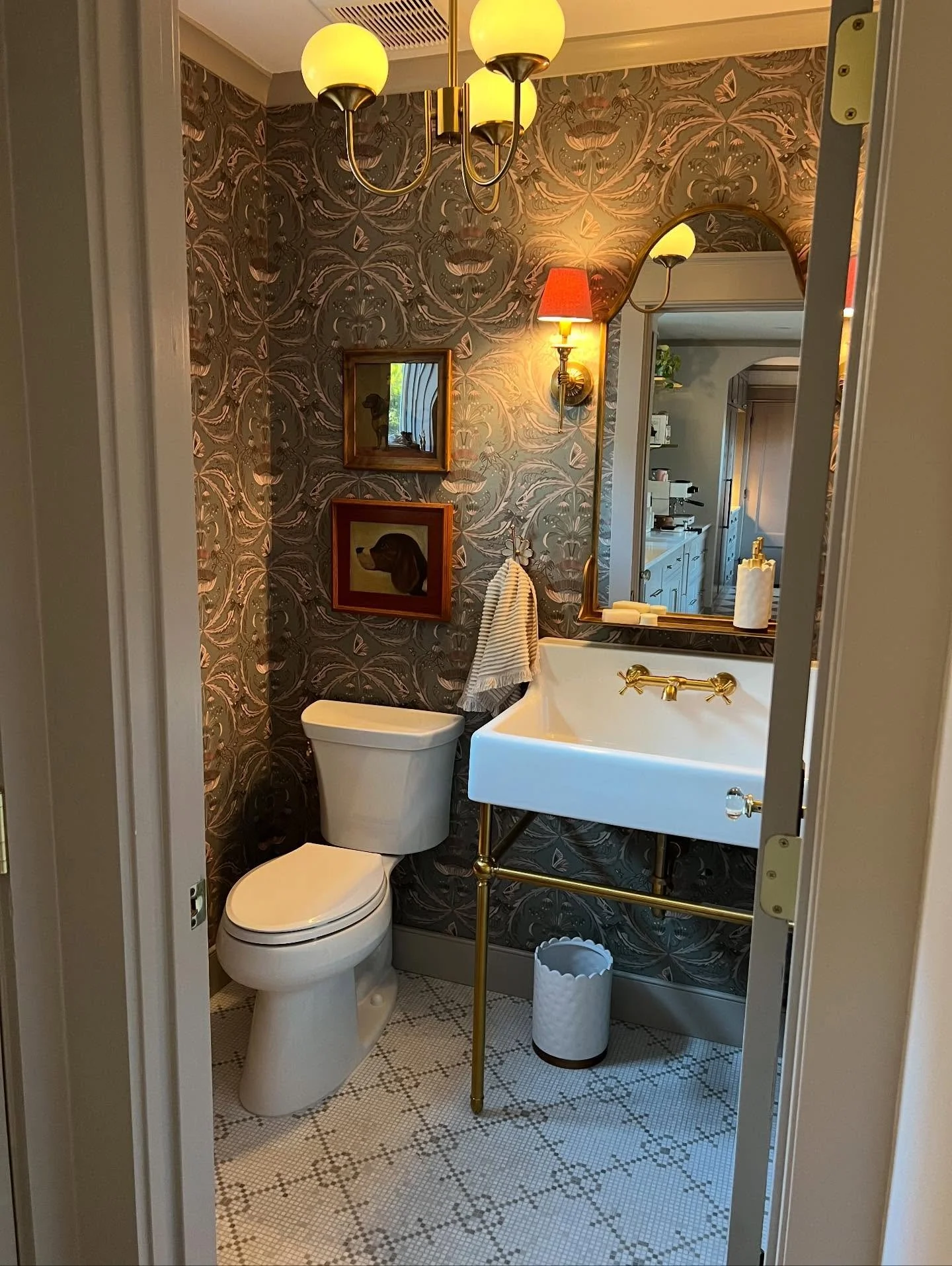 Everyone goes in the powder room. This is ours. The photography is bad but the vibes are good. #yourhomegirldesigns #capecharlesva #miltonandkingwallpaper @miltonandking @dxvluxury