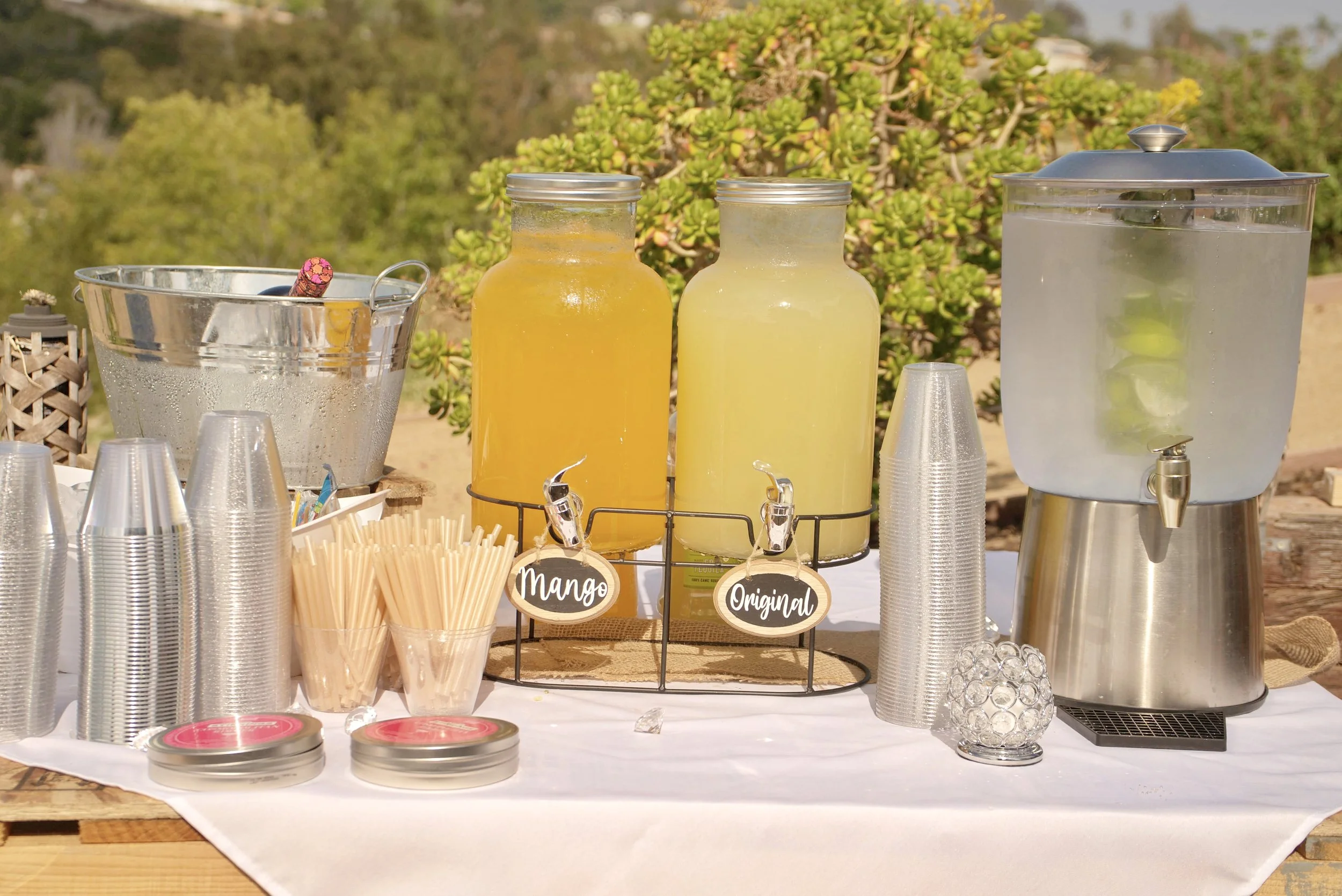 Cocktail Party and Reception (65).jpg