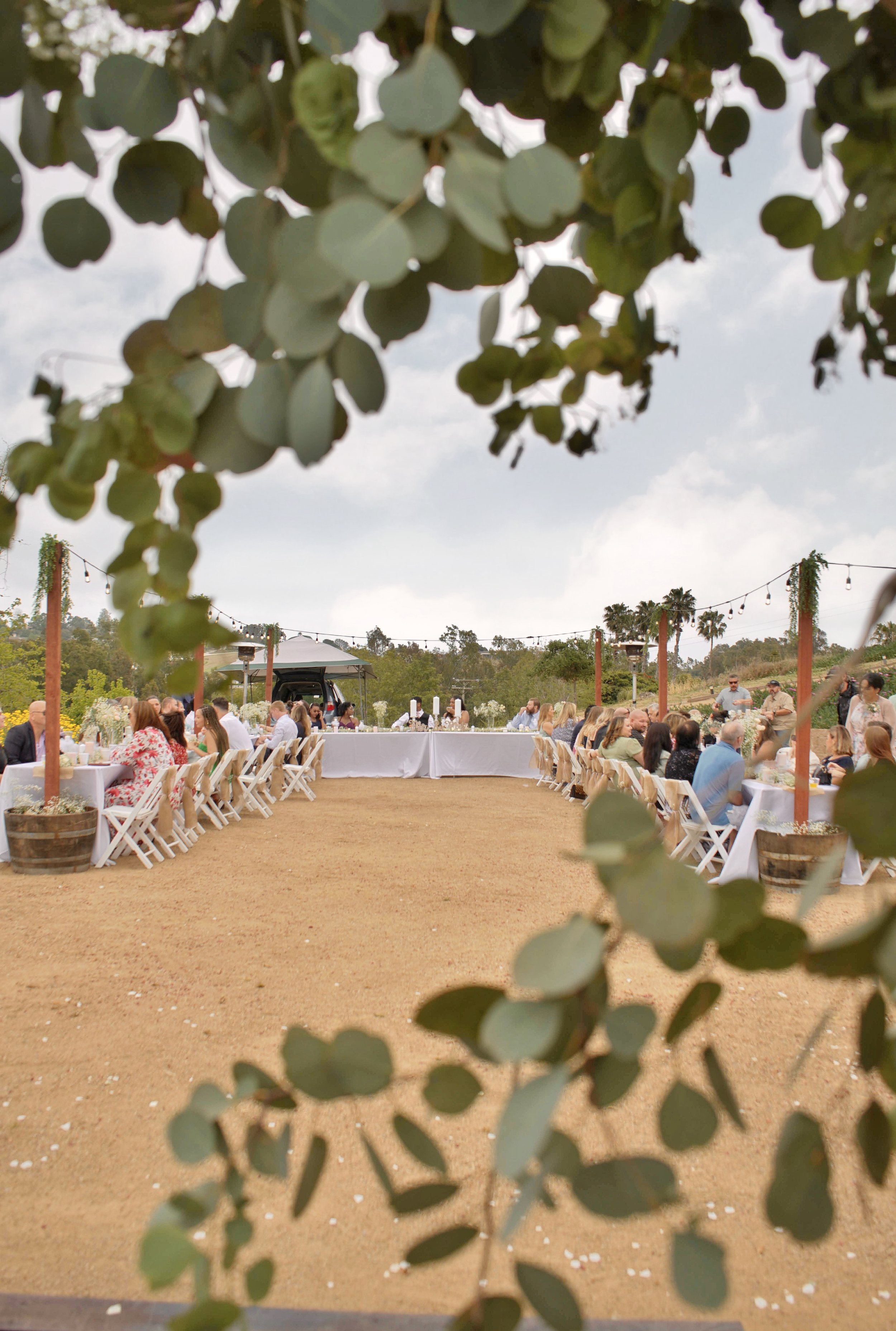 Cocktail Party and Reception (28).jpg