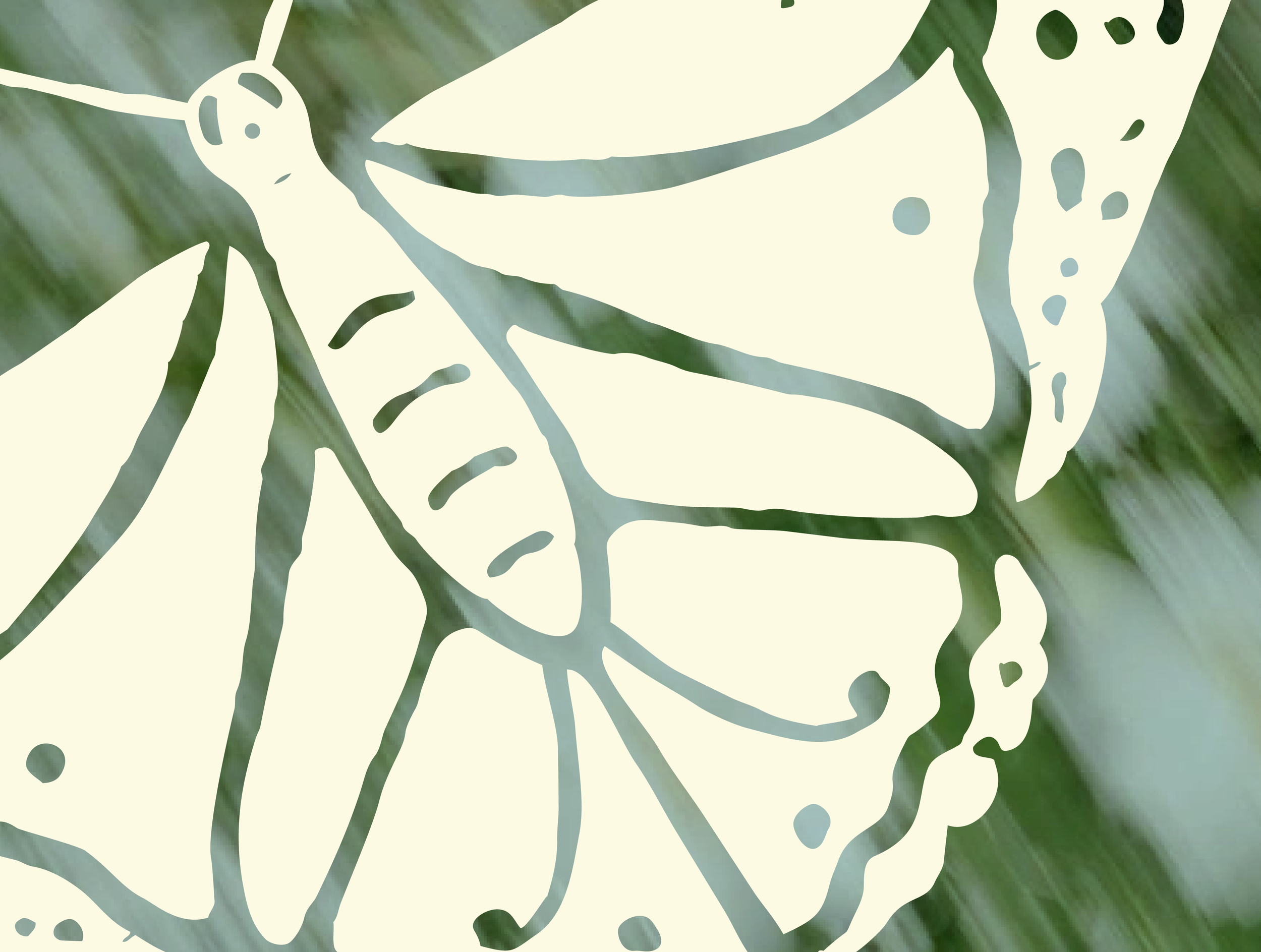 Artboard 6 copy.png