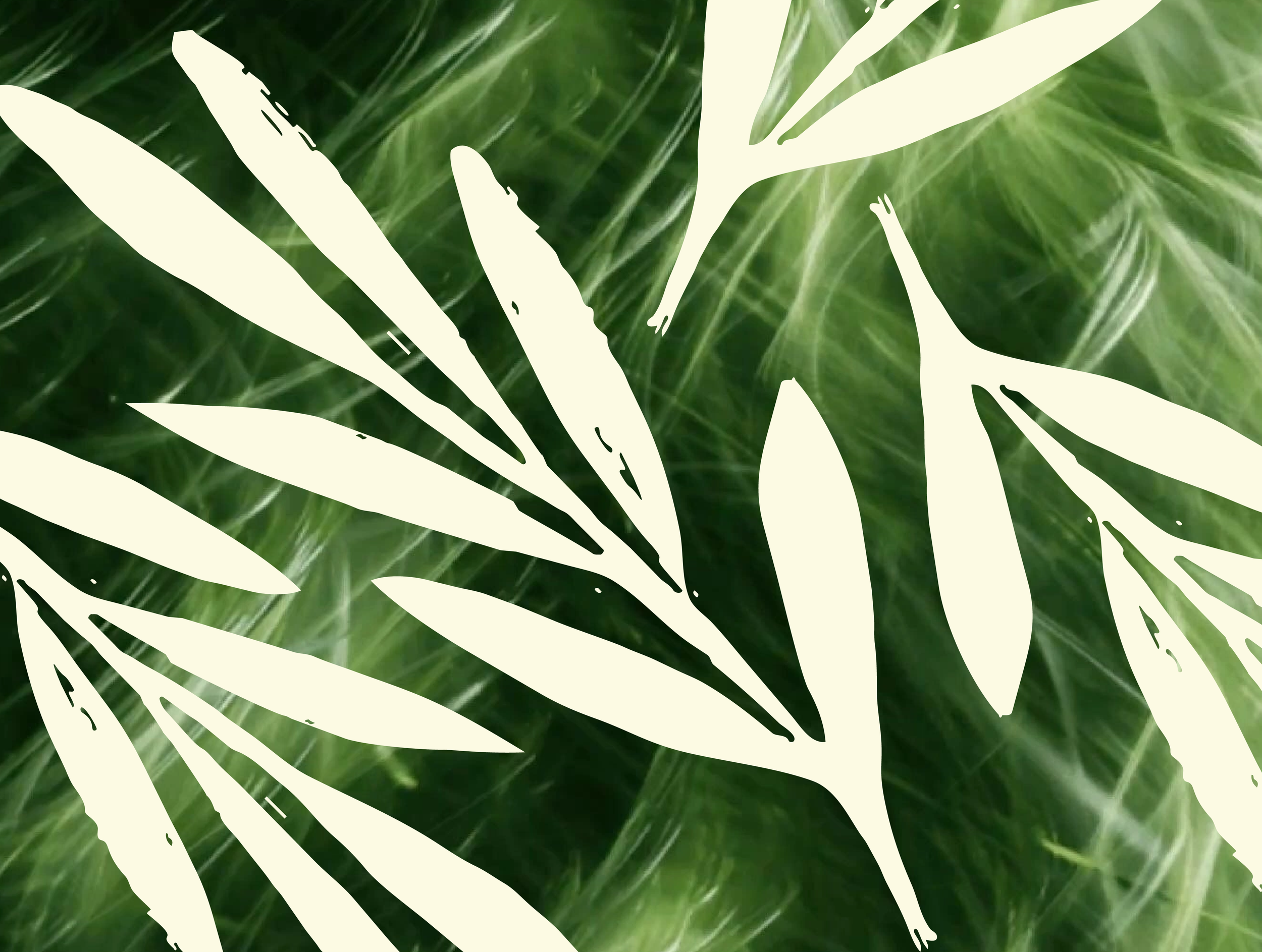 Artboard 6 copy_1.png