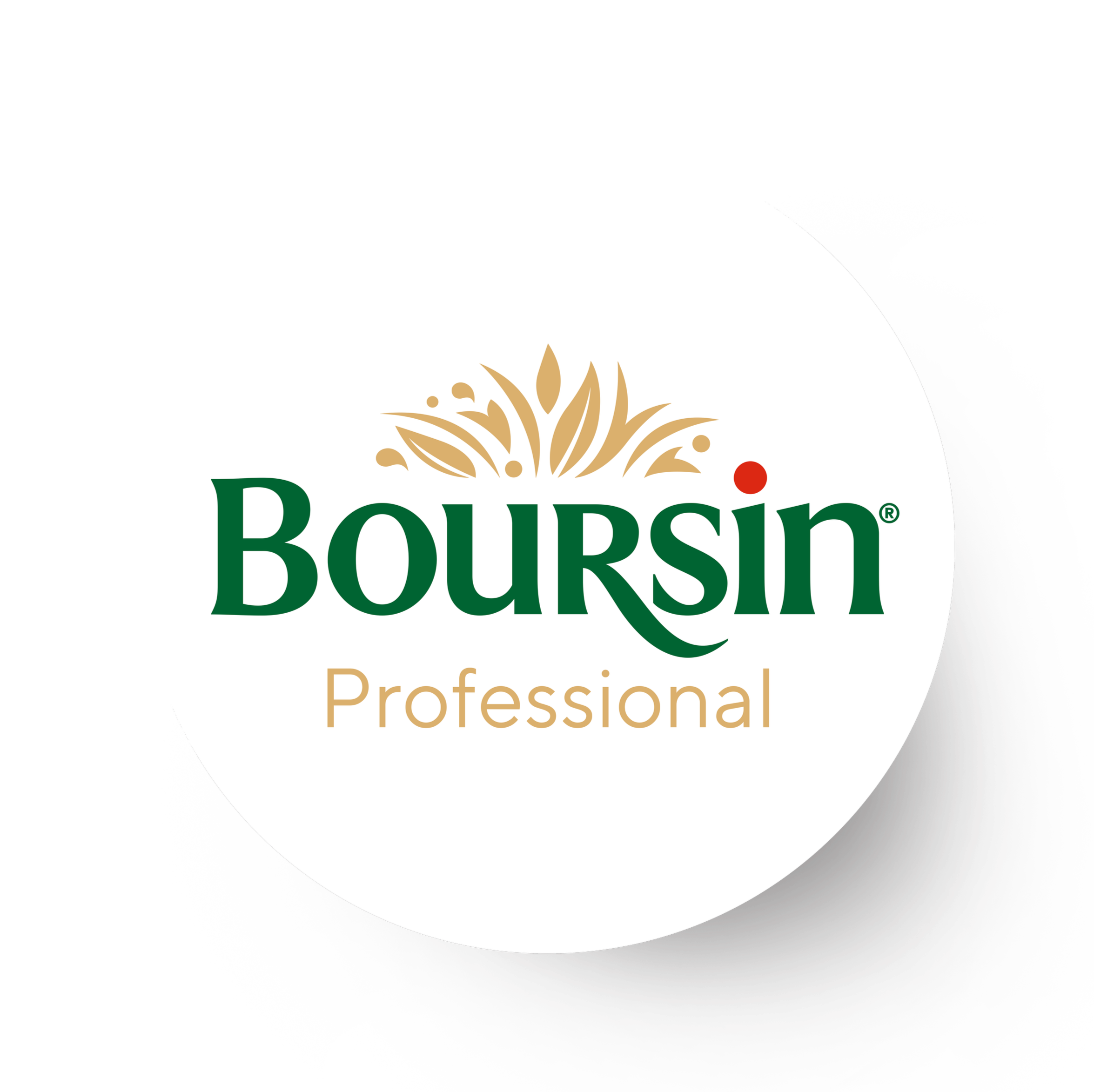 Boursin Professional logo, white button and green text
