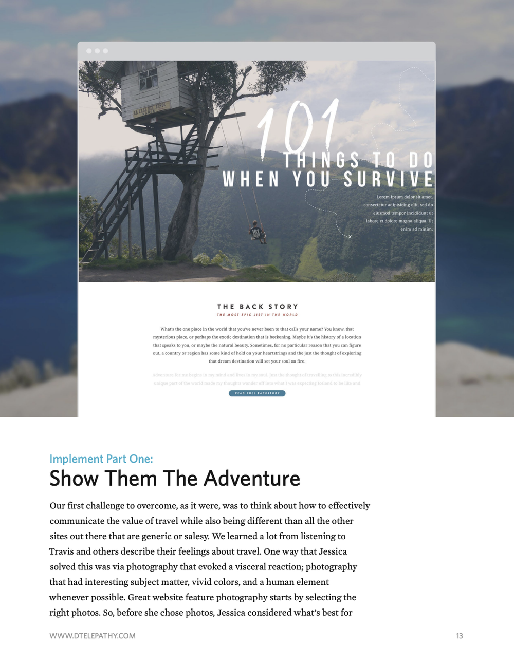 Digital Telepathy: Case Study, Adventure.com, page 13
