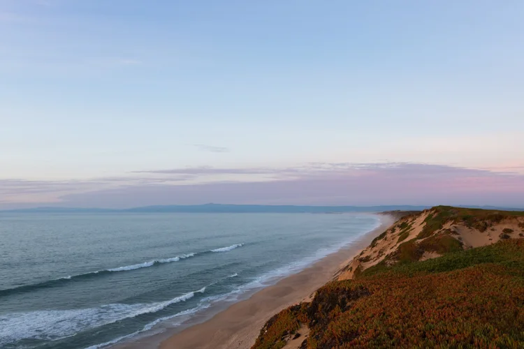 Pacific coast