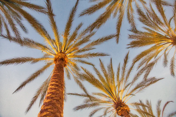 San Diego, California