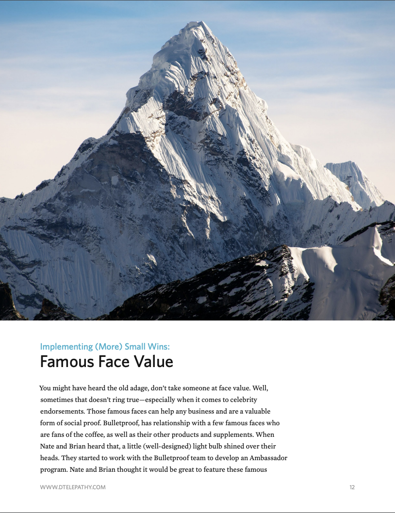 Digital Telepathy: Case Study, Bulletproof, page 12