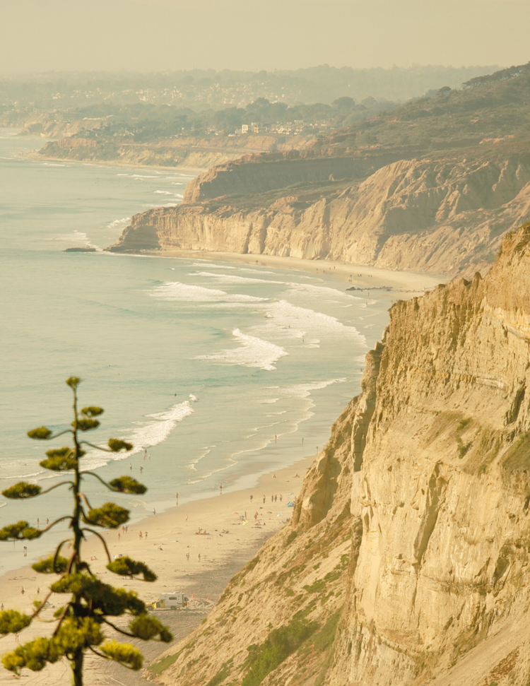 Torrey Pines