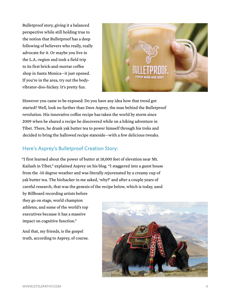 Digital Telepathy: Case Study, Bulletproof, page 4