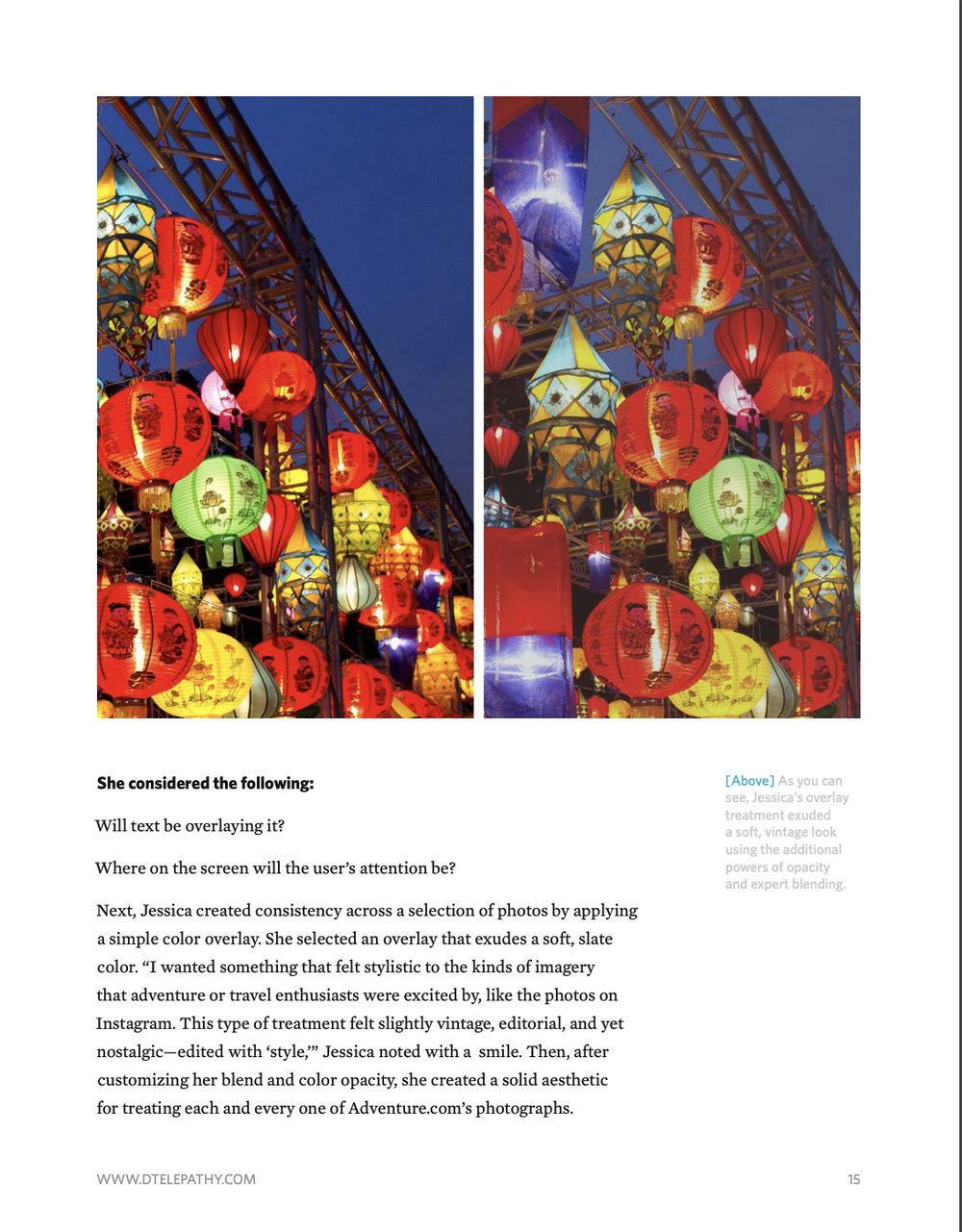 Digital Telepathy: Case Study, Adventure.com, page 15