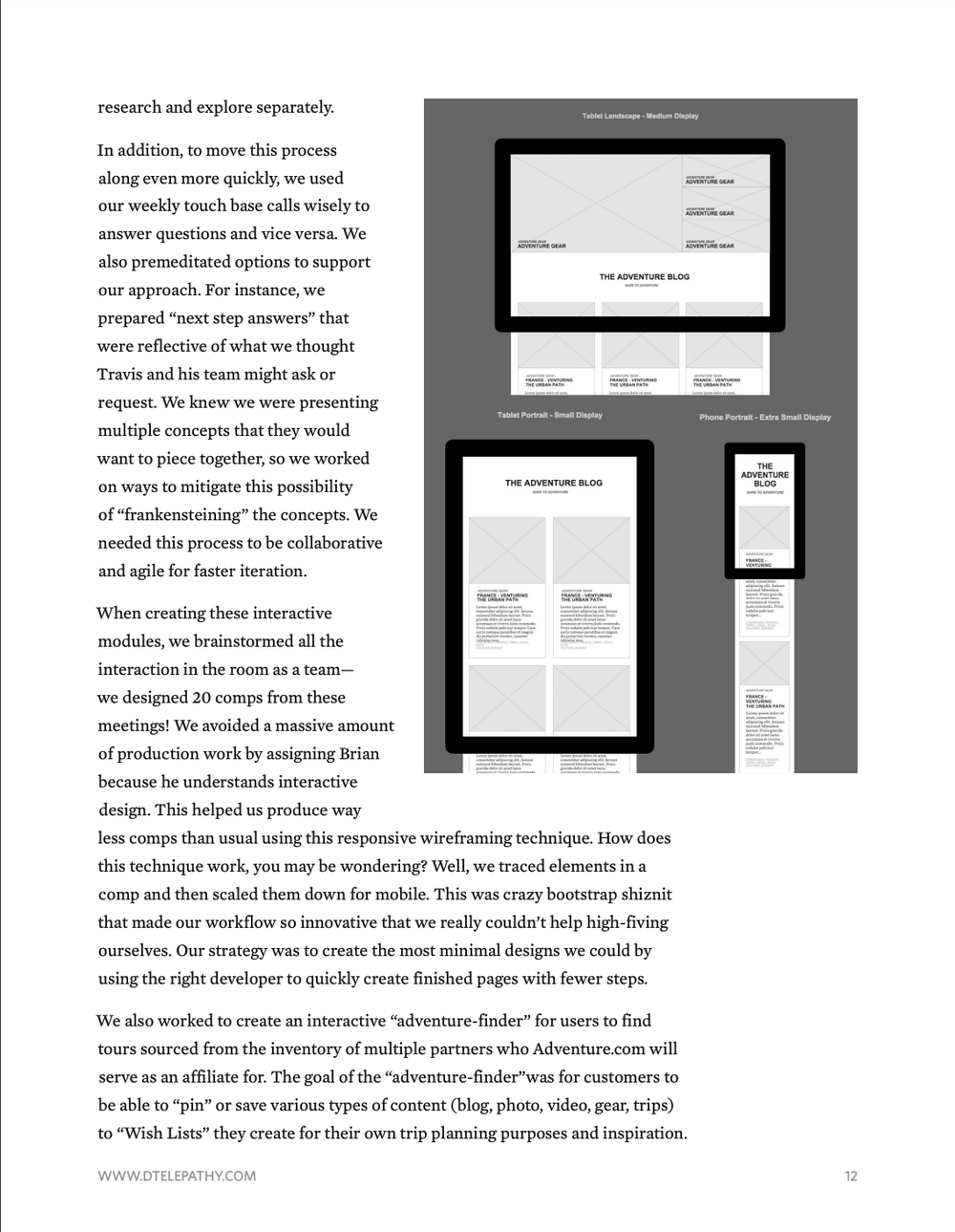 Digital Telepathy: Case Study, Adventure.com, page 12