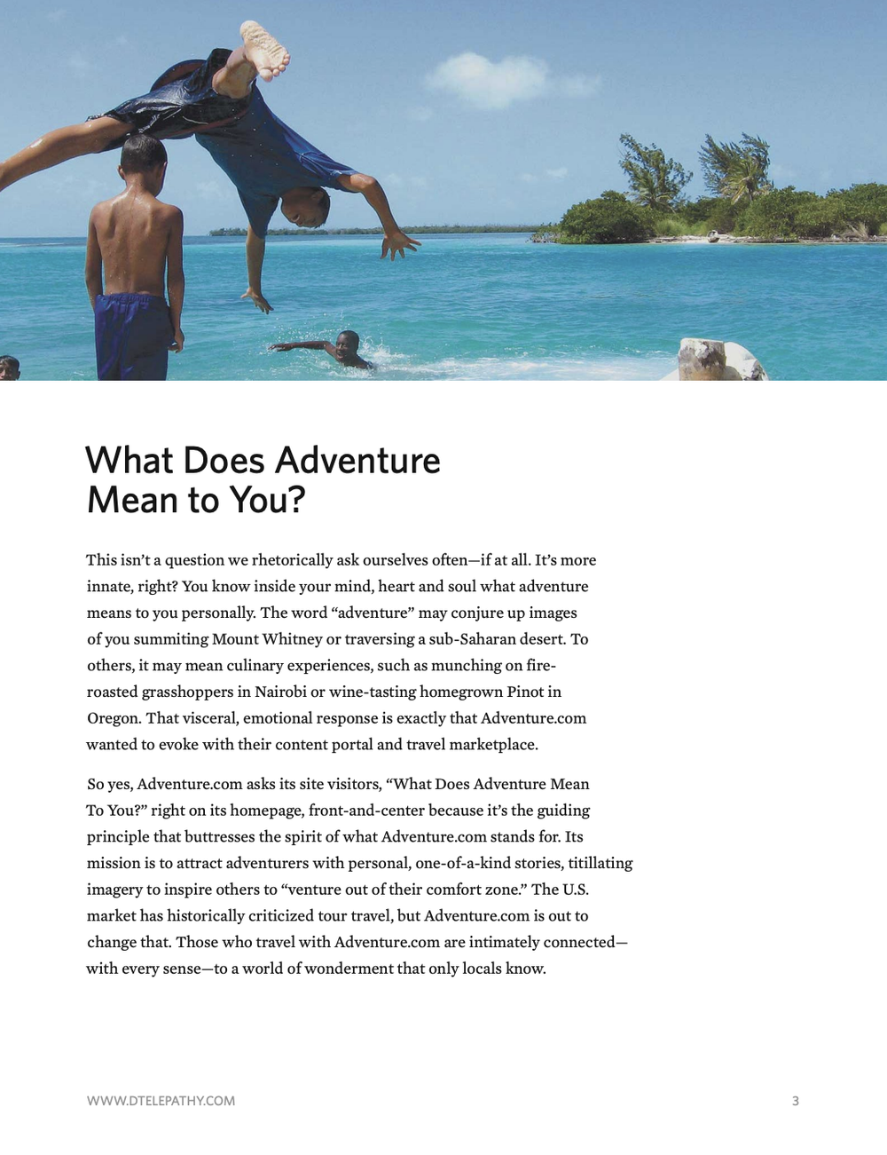 Digital Telepathy: Case Study, Adventure.com, page 3