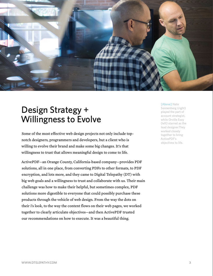 Digital Telepathy: Case Study, ActivePDF, page 3