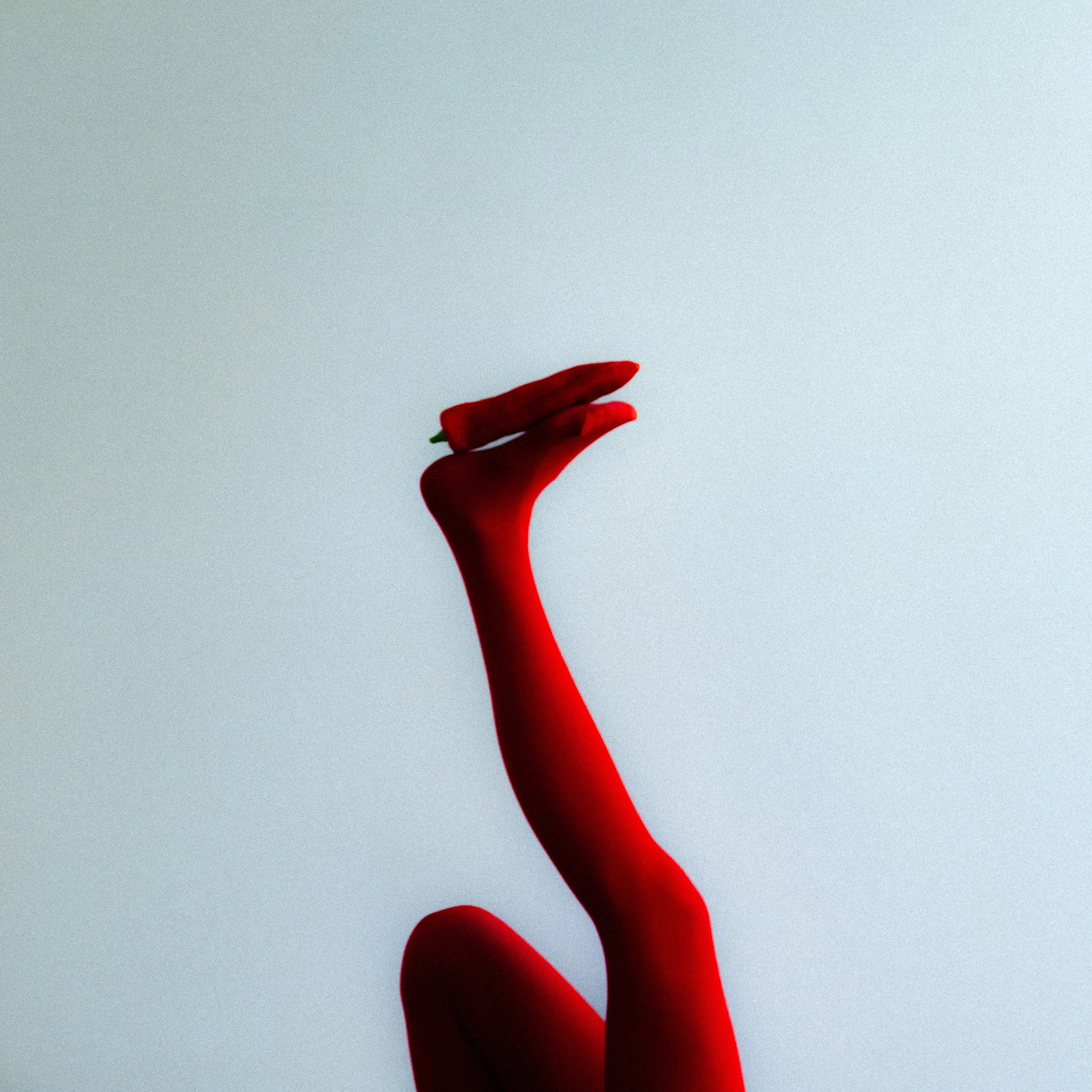 Photographer: Zoe Ardiff