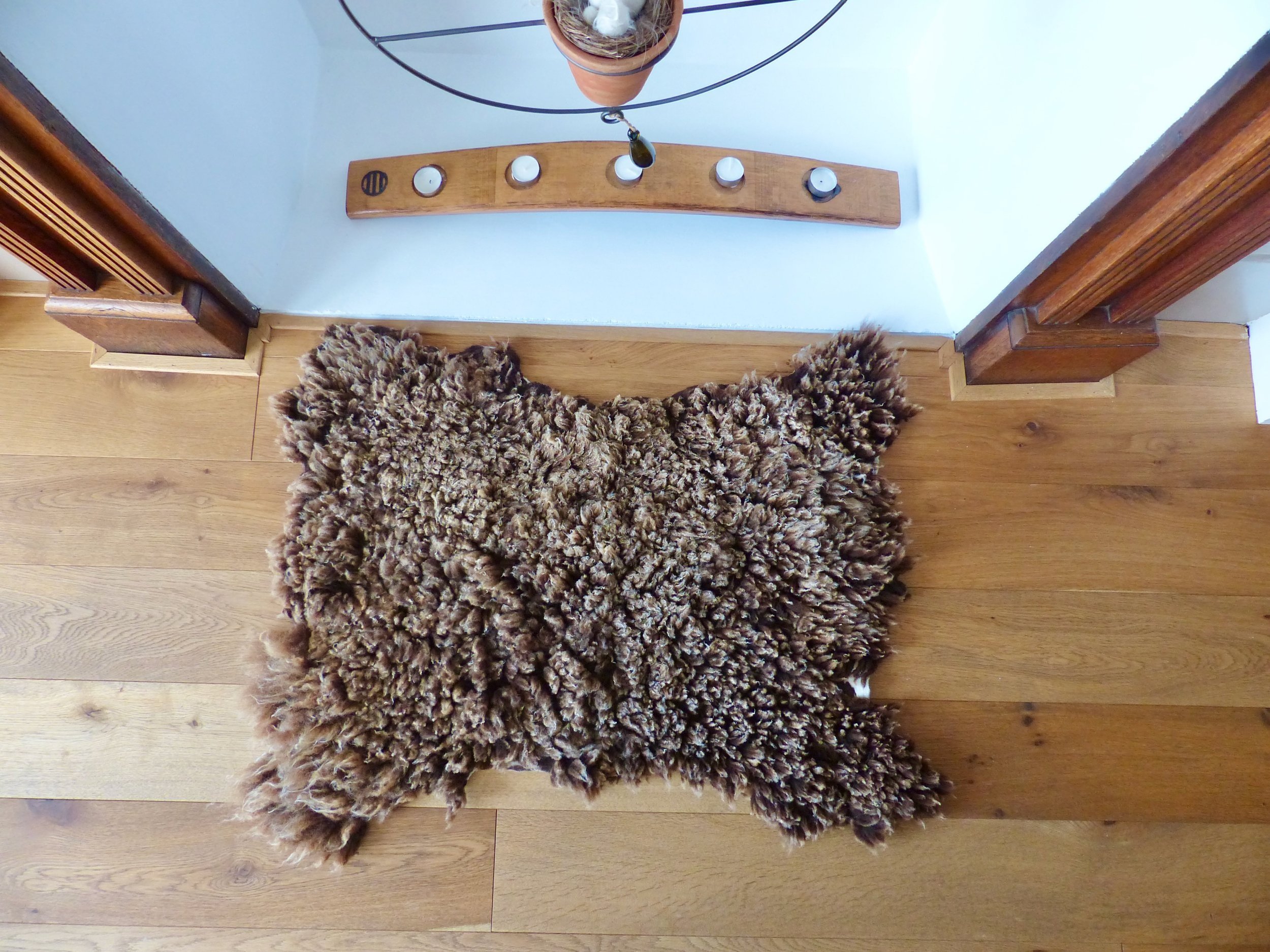 Rug+149+Clive+-+1.jpg