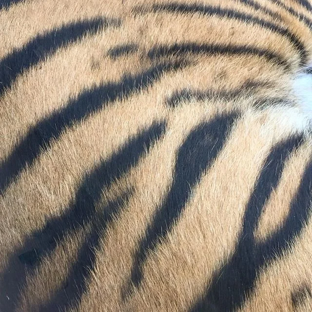 Ce que j'auras aimer savoir 