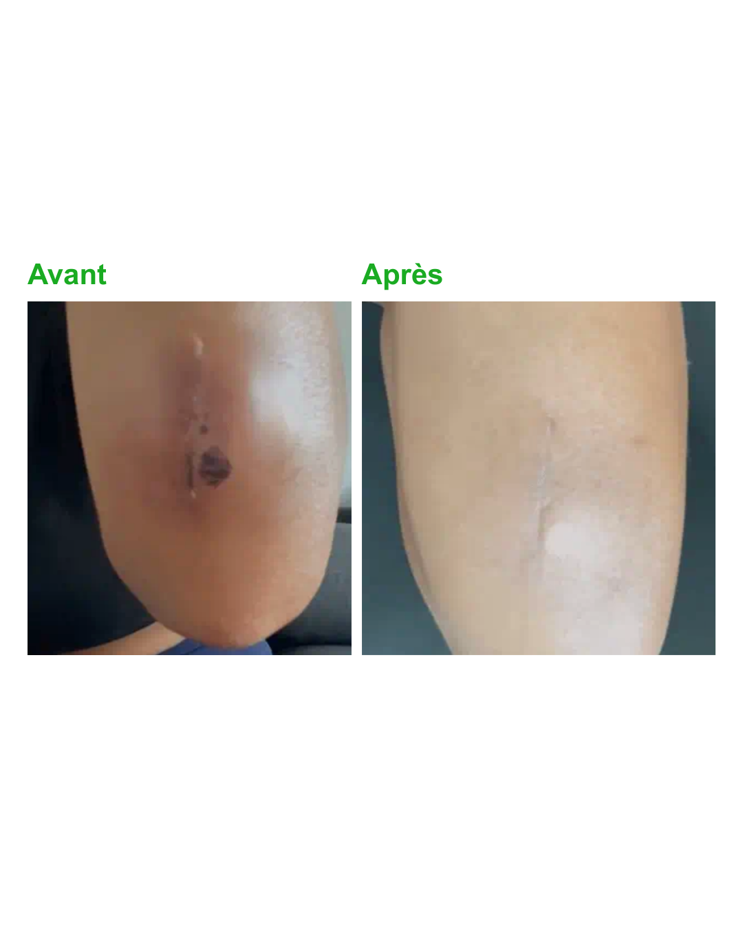 En-tête (7) copy 2.png