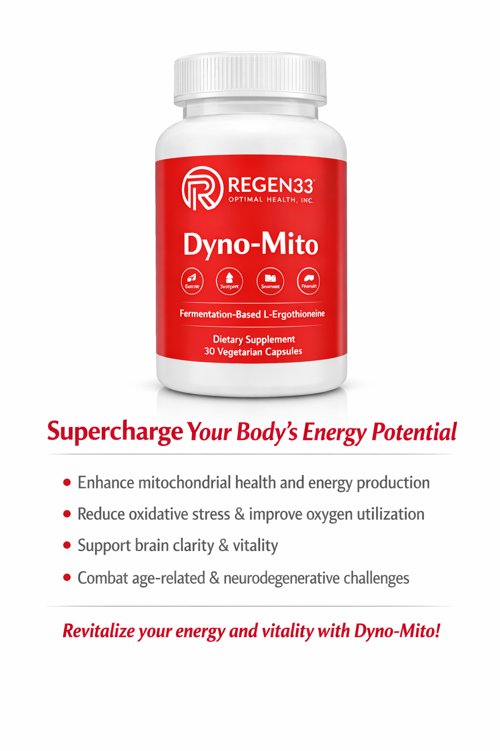 DynoMito6.png