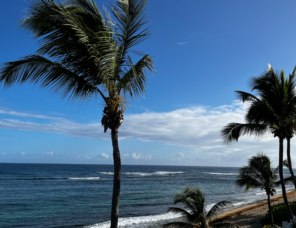 christmas breeze.PNG