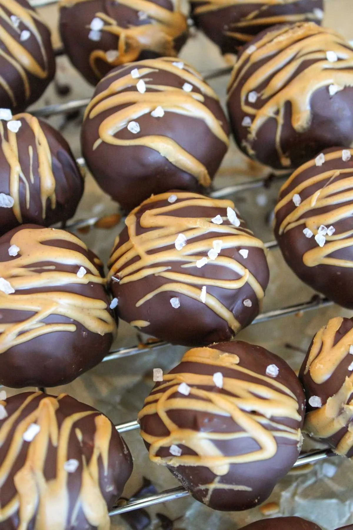 Chocolate Peanut Butter Protein Balls