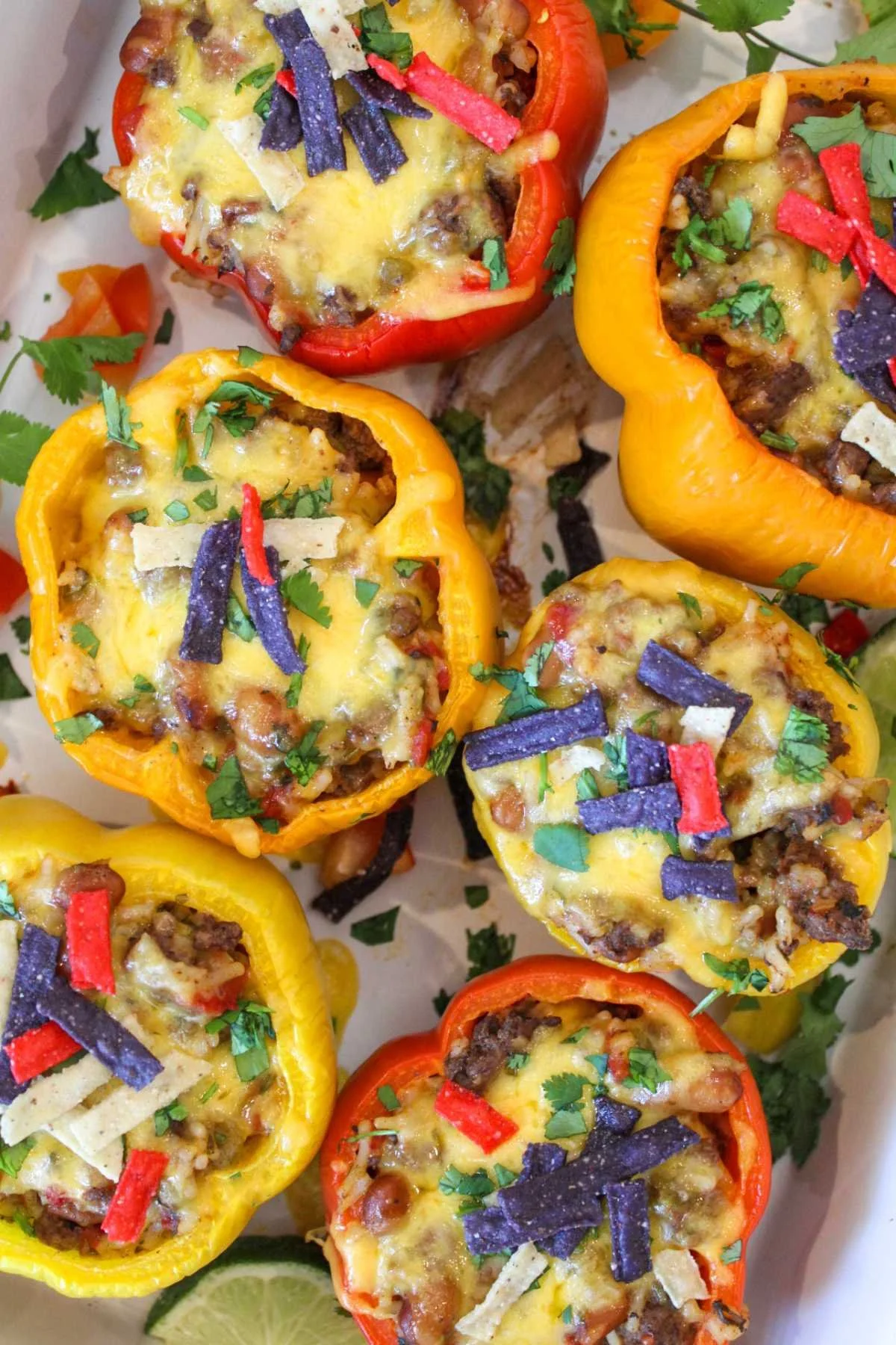 Colorful stuffed bell peppers filled with melted cheese, beans, and veggies. Topped with red, white, and blue tortilla strips and cilantro garnish.